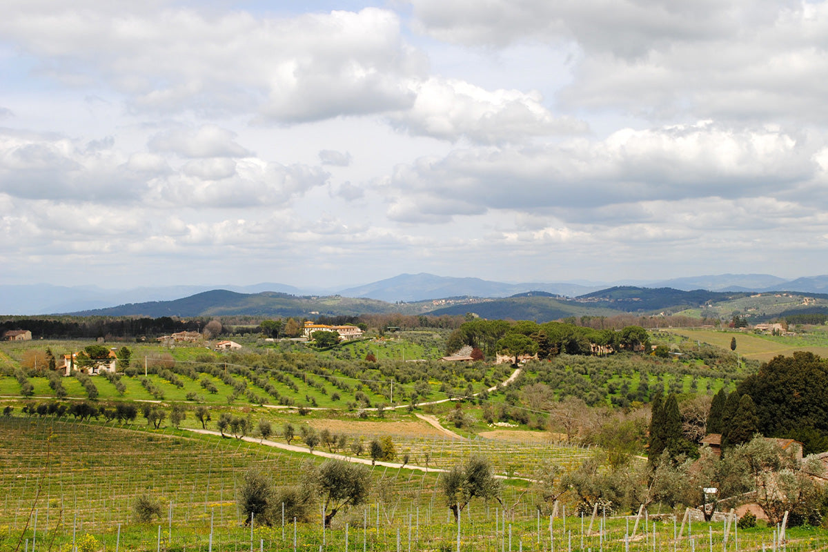 chianti-classico-vini-vigneti