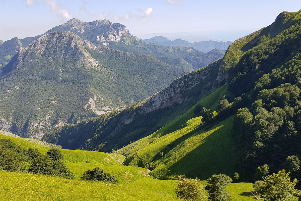 prodotti-tipici-parchi-naturali-toscana-alpi-apuane