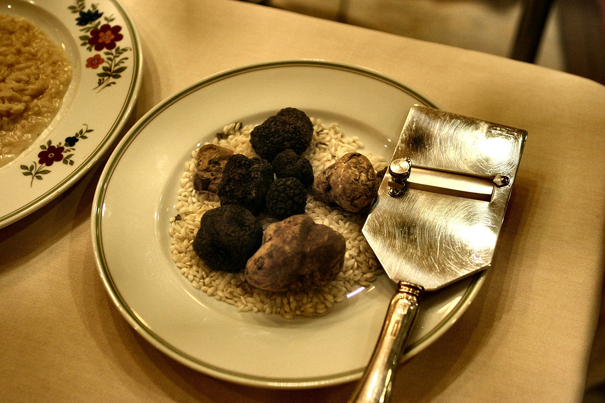 tartufo-eccellenza-culinaria-toscana