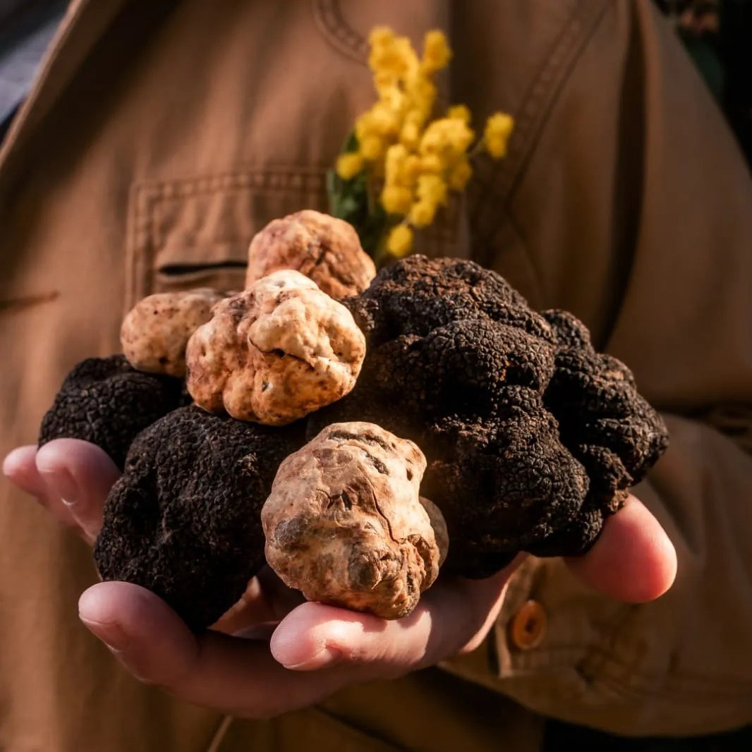 Truffles