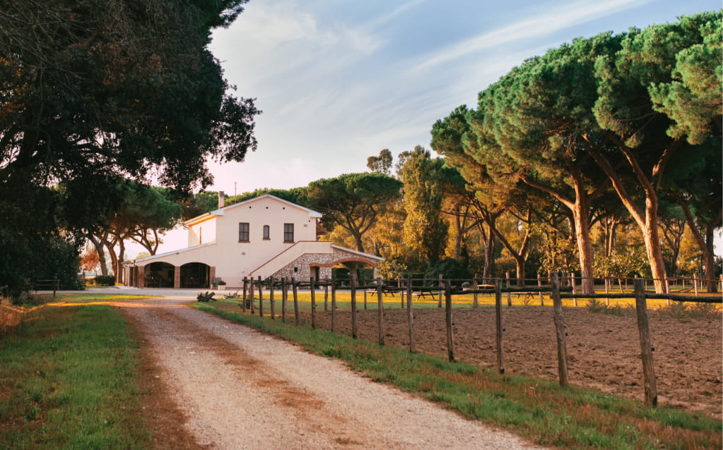 Tenuta San Carlo