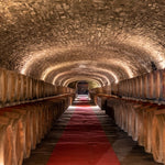 Chianti Classico Riserva "Vigna Il Poggio" Castello Monsanto - PASSIONE TOSCANA