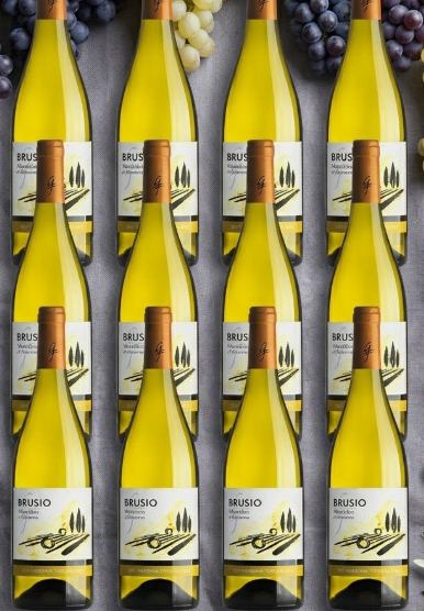 Brusio Vermentino Bio Gramineta 12 Bottles - PASSIONE TOSCANA