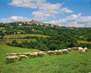 Guided tour with tasting Caseificio Manciano - PASSIONE TOSCANA