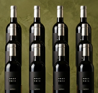 Ilatraia Brancaia 12 Bottles - PASSIONE TOSCANA