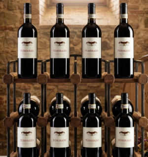 Tommaso IGT Poggio Nibbiale 12 Bottles - PASSIONE TOSCANA