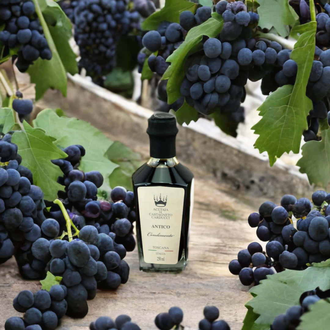 Aceto Antico Acetaia di Castagneto - PASSIONE TOSCANA