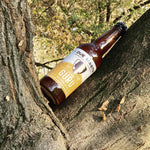 Guru Golden Ale I Due Mastri - PASSIONE TOSCANA