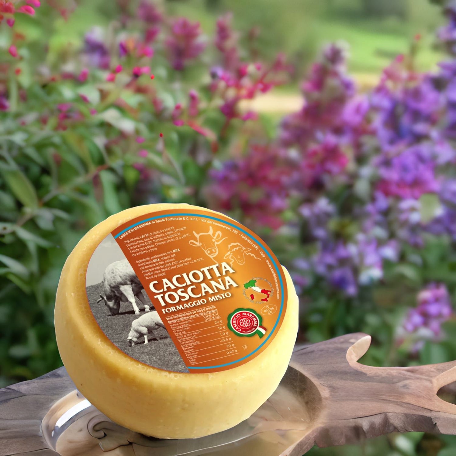 Tuscan Caciotta Cheese Caseificio Maremma - PASSIONE TOSCANA