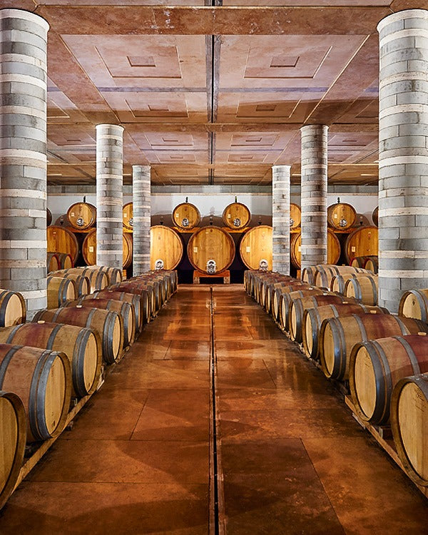 Wine Tasting + Cellar Tour Cantine Dei - PASSIONE TOSCANA