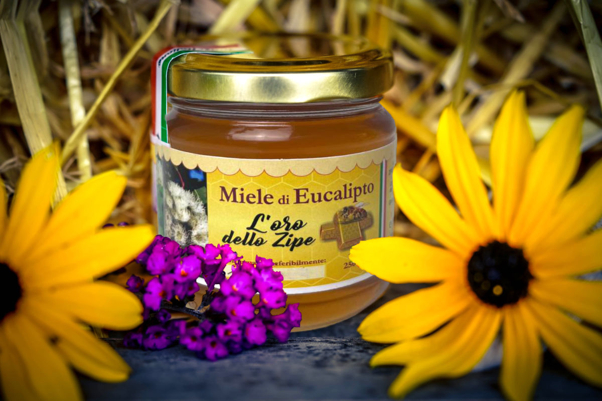 eucalyptus honey loro zipe