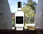 gin nannoni grappa spirit