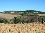 Guided Tour + Pasta Class Mulino Val d'Orcia - PASSIONE TOSCANA