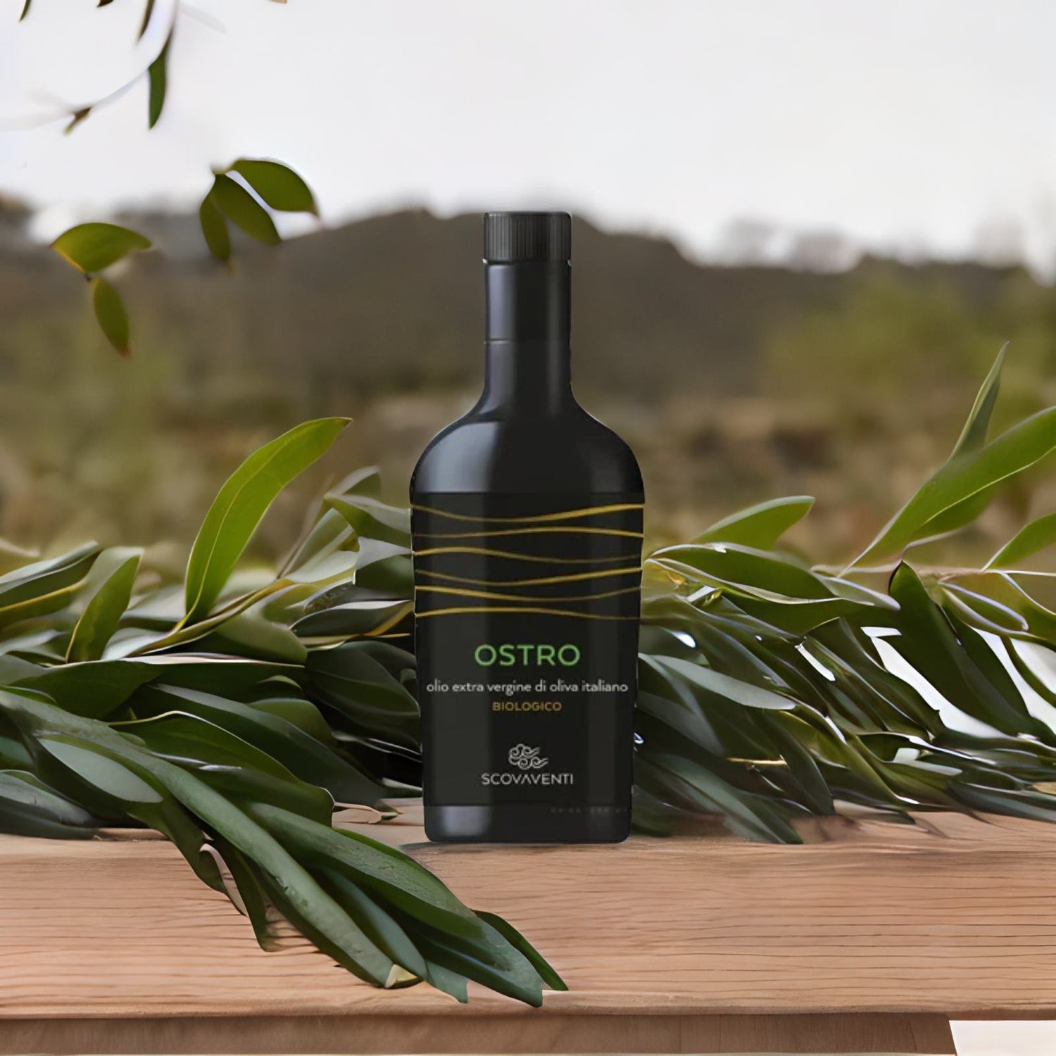 Ostro Oil Scovaventi