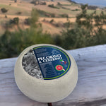 Il Cenerino Pecorino Cheese Caseificio Maremma - PASSIONE TOSCANA