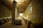 Visit to the production cellar and vineyards+ tasting Poggio Nibbiale - PASSIONE TOSCANA