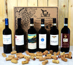 Tuscan Red Wine Selection - PASSIONE TOSCANA